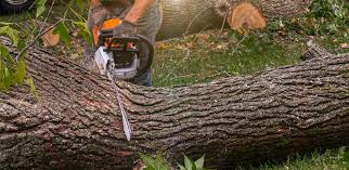 Best Lawn Drainage Solutions  in Aztec, NM