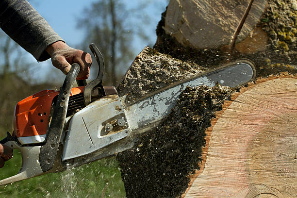Best Aeration Services  in Aztec, NM